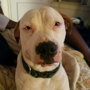 Meet your Posher, Joshua